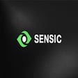 Sensic - Crypto Fraud Detector