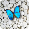 程序图标:Stone Wallpapers 4K