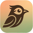 프로그램 아이콘: Birdey