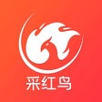 أيقونة البرنامج: 采红鸟