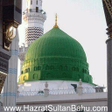 程序图标：Madina Live TV HD