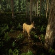 程序图标：Animal Doctor
