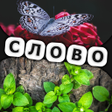 Иконка программы: 2 Фотки 1 Слово