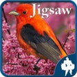 プログラムのアイコン：Birds Jigsaw Puzzles - Ti…