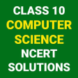 CLASS 10 COMPUTER SCIENCE NCER
