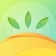 프로그램 아이콘: 金石教育教师端