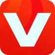 程序图标：Video Downloader