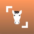 أيقونة البرنامج: Horse Scanner