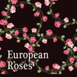 プログラムのアイコン：Elegant Theme-European Ro…