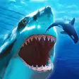 The Shark