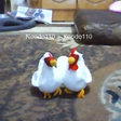 Icon of program: Chickens and Roosters Par…