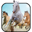 ไอคอนของโปรแกรม: Horse Live Wallpaper