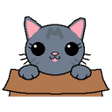 プログラムのアイコン：Cat in Box