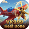 程序图标:VK999 Keel Bone