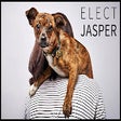 Icon of program: Elect Jasper!