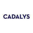Icon of program: Cadalys Service Managemen…