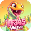Programikon: FF345Weave
