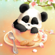 程序图标：Sleepy Panda Wallpaper