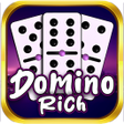 プログラムのアイコン：Domino Rich APP 2023