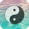 Yin Yang Wallpapers