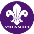 Programın simgesi: Ayuda Scout