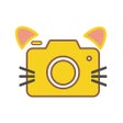 Ikona programu: Hungry Cat - Food Collage