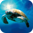 プログラムのアイコン：Ocean Live Wallpaper