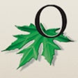Иконка программы: Oakwood Athletic Club
