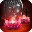 Icon of program: Namo: Buddha Quotes With …