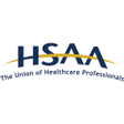 程序图标：HSAA