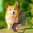 Icon of program: Jigsaw Puzzle - Hexa Bloc…