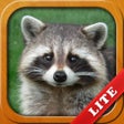 程序图标：Animals for Kids toddler …