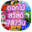 Icon of program: ดอกไมสวสด 7ส7วน