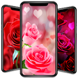程序图标：Rose Wallpapers