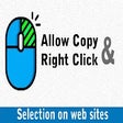 프로그램 아이콘: Allow Copy& Right Click