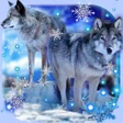 程序图标：Wolves Winter