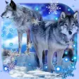 Wolves Winter