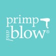 Ikon program: Primp and Blow