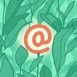 Ícone do programa: WP Mail Logging
