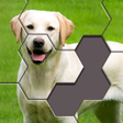 Ícone do programa: Hexa Jigsaw Puzzle