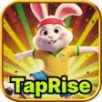 ไอคอนของโปรแกรม: TapRise