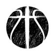 Icon of program: West Michigan Lakers