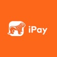 Programikonen: iPay Payment Gateway