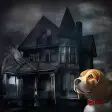 Lost dog: Scary house of horror and fear.
