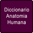 Icon of program: Diccionario Anatomia Huma…