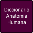 Diccionario Anatomia Humana
