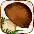 程序图标：The Mushroom Book