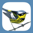 Ikona programu: Sibley Birds 2nd Edition