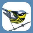Icône du programme : Sibley Birds 2nd Edition