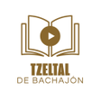 程序图标：Tzeltal de Bachajón Yachi…